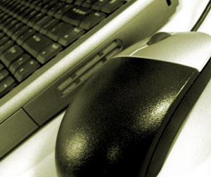 forestry systems support